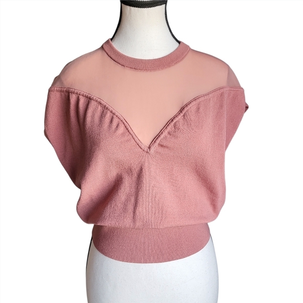 Express Dusty Rose Cropped Knit Top with Sheer Yoke